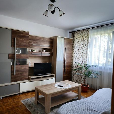 Studio Bulevardul Victoriei Brasov Bagian luar foto